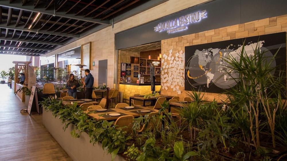 מקסיקו סיטי Miyana Suites מראה חיצוני תמונה